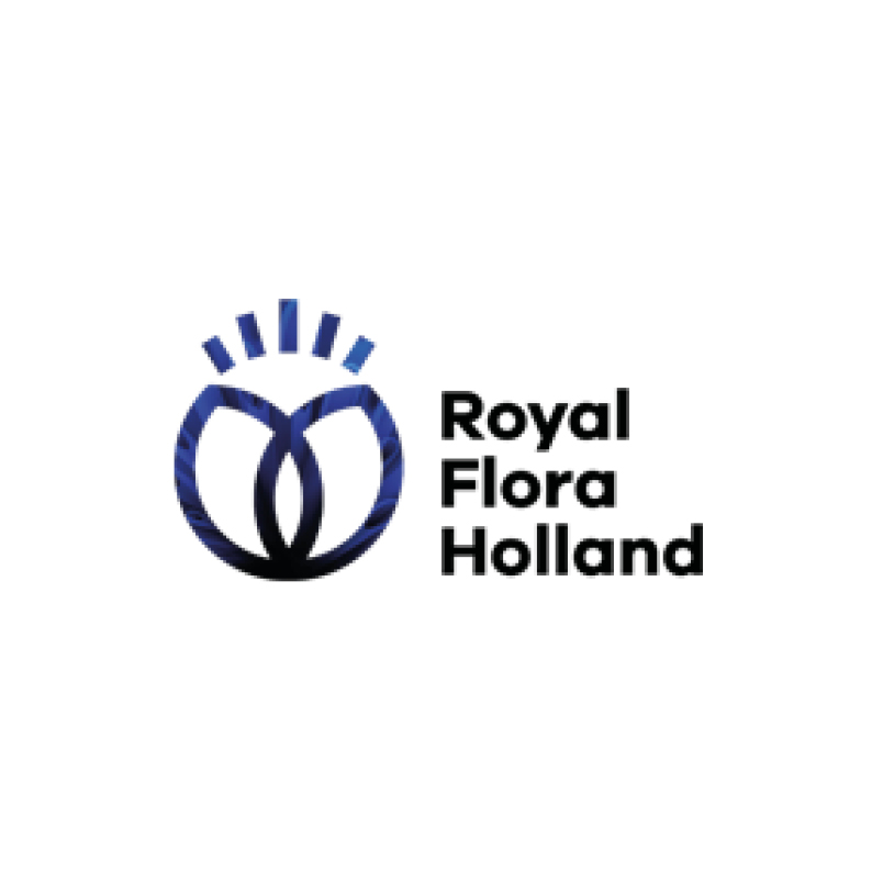 https://vepa.de/wp-content/uploads/2020/02/Royal-Flora-Holland.jpg